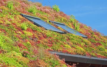 Tebworth living roof systems